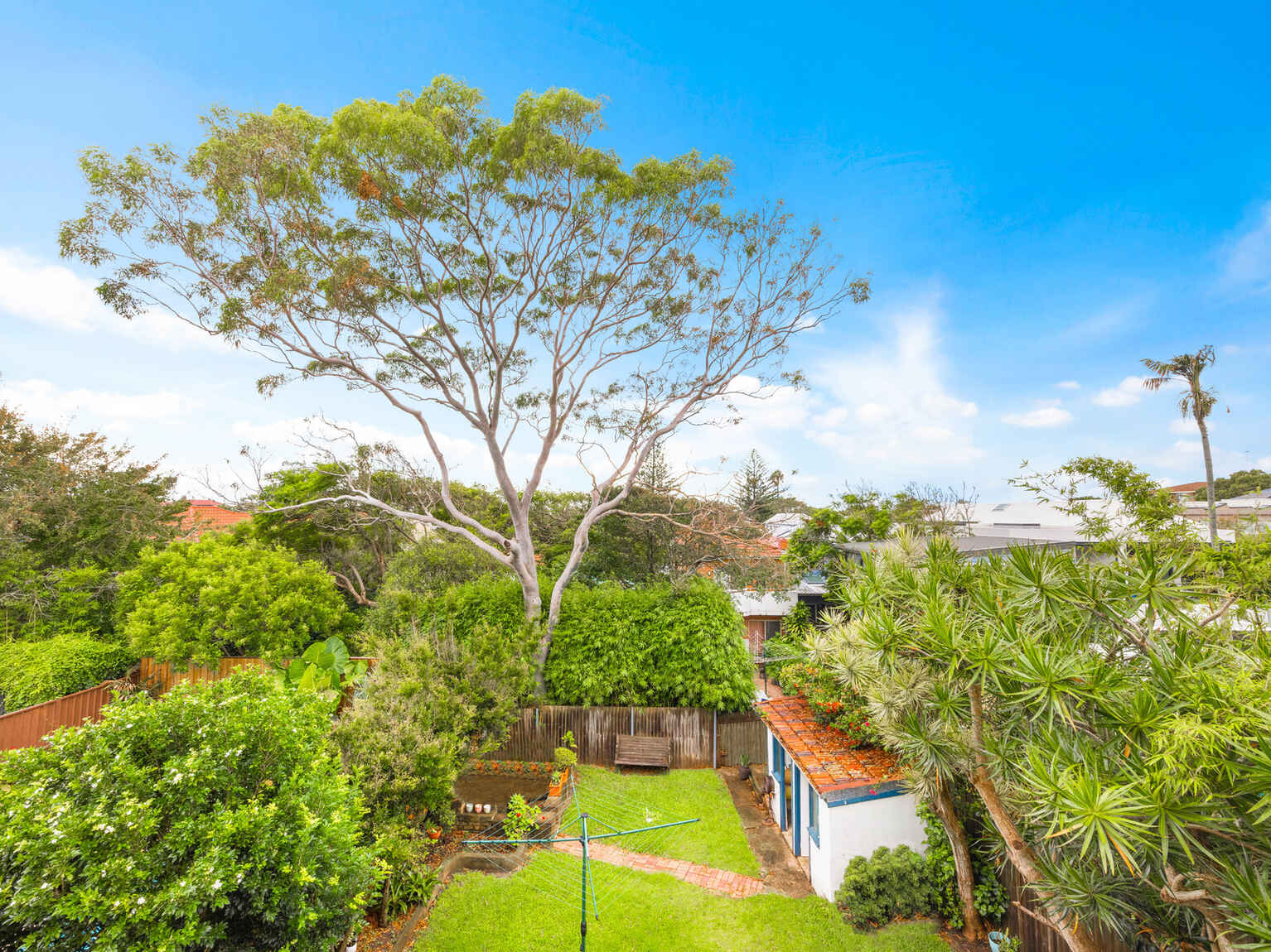 4/96 Ocean Street Bondi